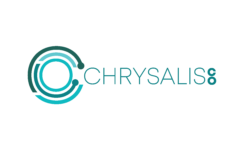 chrysalis